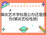 肇庆艺术学校是公办还是民办(肇庆艺校性质)