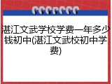 湛江文武学校学费一年多少钱初中(湛江文武校初中学费)