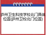 庐州卫生科技学校北门具体位置(庐州卫校北门位置)