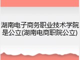 湖南电子商务职业技术学院是公立(湖南电商职院公立)