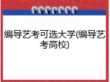 编导艺考可选大学(编导艺考高校)