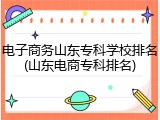 电子商务山东专科学校排名(山东电商专科排名)