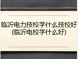 临沂电力技校学什么技校好(临沂电校学什么好)
