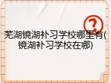 芜湖镜湖补习学校哪里有(镜湖补习学校在哪)