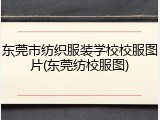 东莞市纺织服装学校校服图片(东莞纺校服图)