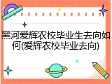 黑河爱辉农校毕业生去向如何(爱辉农校毕业去向)