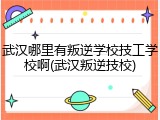 武汉哪里有叛逆学校技工学校啊(武汉叛逆技校)