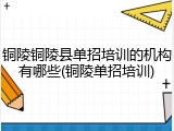 铜陵铜陵县单招培训的机构有哪些(铜陵单招培训)