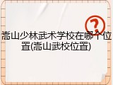 嵩山少林武术学校在哪个位置(嵩山武校位置)