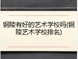 铜陵有好的艺术学校吗(铜陵艺术学校排名)