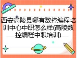 西安高陵县哪有数控编程培训中心中职怎么样(高陵数控编程中职培训)
