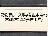 宠物养护与训导专业中专北京(北京宠物养护中专)
