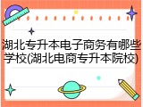 湖北专升本电子商务有哪些学校(湖北电商专升本院校)