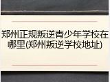 郑州正规叛逆青少年学校在哪里(郑州叛逆学校地址)