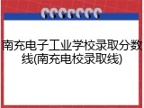 南充电子工业学校录取分数线(南充电校录取线)