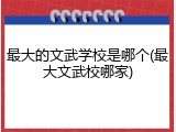 最大的文武学校是哪个(最大文武校哪家)
