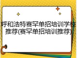 呼和浩特赛罕单招培训学校推荐(赛罕单招培训推荐)