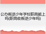 公办叛逆少年学校职高能上吗(职高收叛逆少年吗)