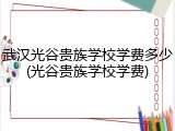 武汉光谷贵族学校学费多少(光谷贵族学校学费)