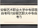 安徽艺术职业大学中专部是自考吗?(安徽艺职大中专自考?)