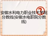 安徽水利电力职业技术学院分数线(安徽水电职院分数线)