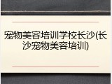 宠物美容培训学校长沙(长沙宠物美容培训)