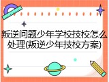 叛逆问题少年学校技校怎么处理(叛逆少年技校方案)