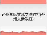 台州国际文武学校散打(台州文武散打)