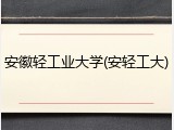 安徽轻工业大学(安轻工大)