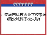 西安城市科技职业学校朱聪(西安城科职校朱聪)