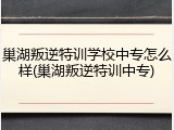 巢湖叛逆特训学校中专怎么样(巢湖叛逆特训中专)