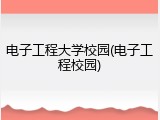电子工程大学校园(电子工程校园)