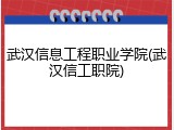 武汉信息工程职业学院(武汉信工职院)