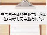 自考电子商务专业有用吗现在(自考电商专业有用吗)