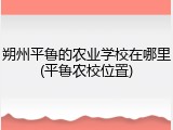 朔州平鲁的农业学校在哪里(平鲁农校位置)