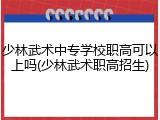 少林武术中专学校职高可以上吗(少林武术职高招生)