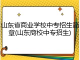 山东省商业学校中专招生简章(山东商校中专招生)