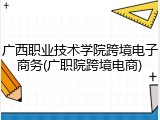 广西职业技术学院跨境电子商务(广职院跨境电商)