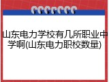 山东电力学校有几所职业中学啊(山东电力职校数量)