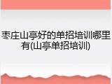 枣庄山亭好的单招培训哪里有(山亭单招培训)