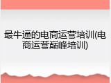 最牛逼的电商运营培训(电商运营巅峰培训)