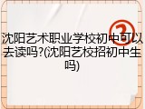 沈阳艺术职业学校初中可以去读吗?(沈阳艺校招初中生吗)