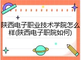 陕西电子职业技术学院怎么样(陕西电子职院如何)