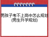 男孩子考不上高中怎么规划(男生升学规划)