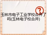 玉林市电子工业学校合并了吗(玉林电子校合并)