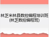 林芝米林县数控编程培训班(林芝数控编程班)