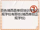 百色靖西县单招培训学校正规学校有那些(靖西单招正规学校)