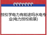 技校学电力有前途吗水电专业(电力技校前景)