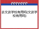 去文武学校有用吗(文武学校有用吗)