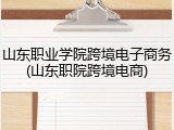 山东职业学院跨境电子商务(山东职院跨境电商)